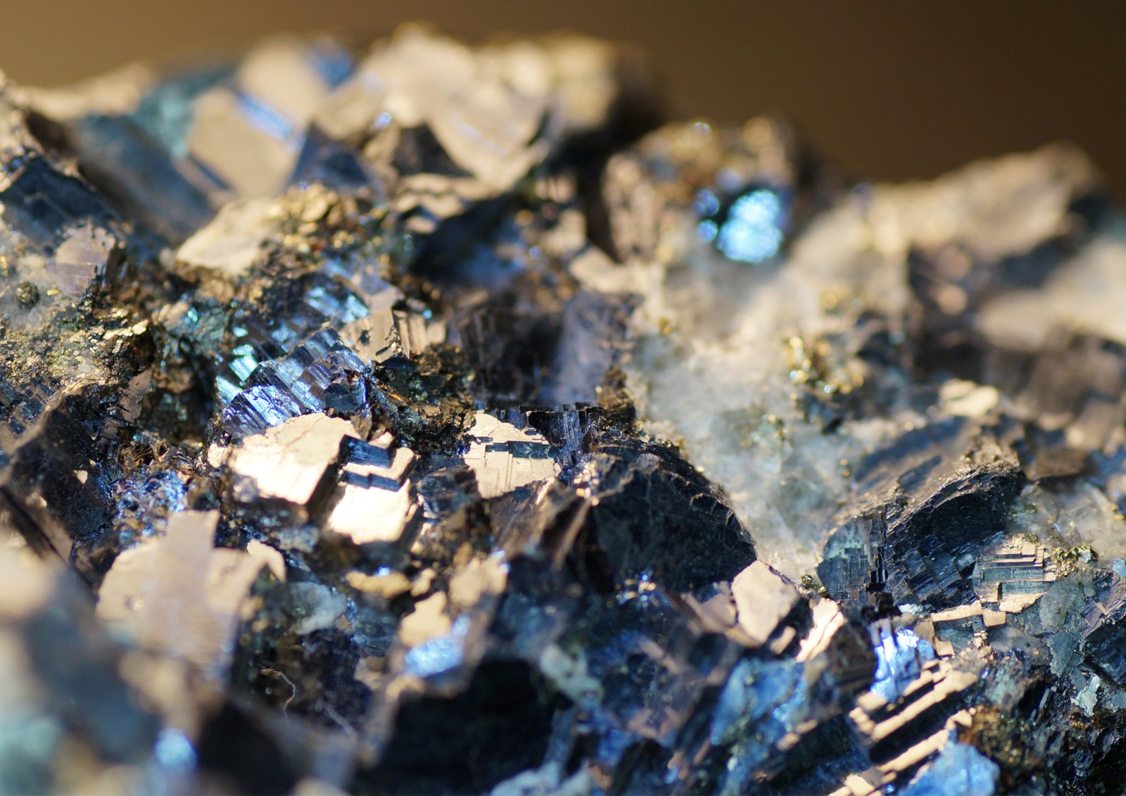 Waste and Disposal services WordPress Theme for home-2 about us section Eco-friendly recycling services for homes and businesses